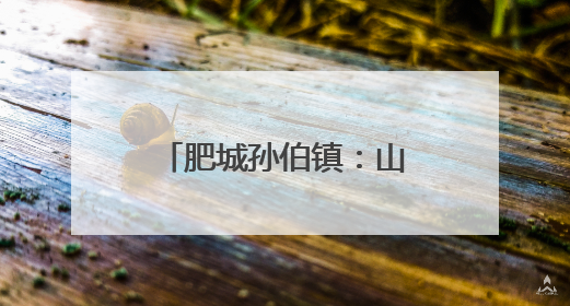肥城孙伯镇：山村油杏满枝头