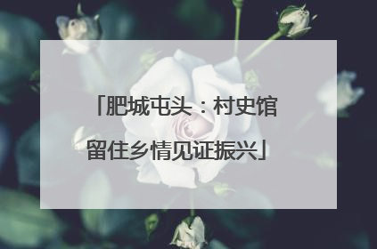 肥城屯头：村史馆留住乡情见证振兴