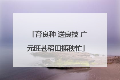 育良种 送良技 广元旺苍稻田插秧忙