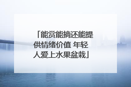 能赏能摘还能提供情绪价值 年轻人爱上水果盆栽