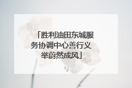 胜利油田东城服务协调中心善行义举蔚然成风