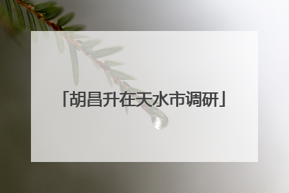 胡昌升在天水市调研