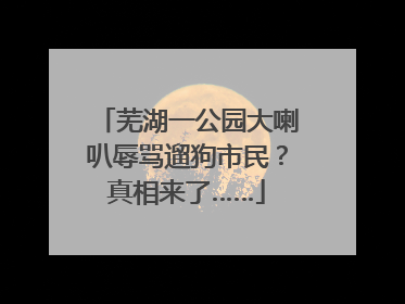 芜湖一公园大喇叭辱骂遛狗市民？真相来了……
