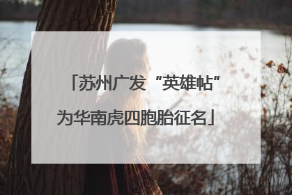 苏州广发“英雄帖”为华南虎四胞胎征名