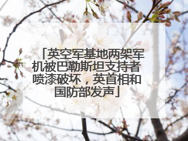 英空军基地两架军机被巴勒斯坦支持者喷漆破坏，英首相和国防部发声