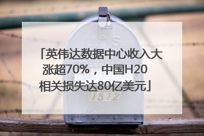 英伟达数据中心收入大涨超70%，中国H20相关损失达80亿美元