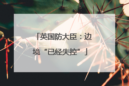 英国防大臣：边境“已经失控”