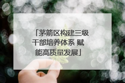 茅箭区构建三级干部培养体系 赋能高质量发展
