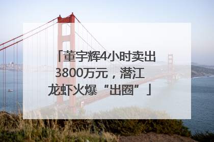 董宇辉4小时卖出3800万元，潜江龙虾火爆“出圈”