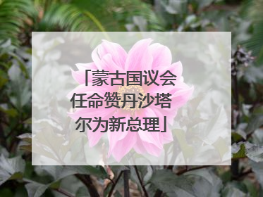 蒙古国议会任命赞丹沙塔尔为新总理