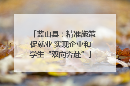 蓝山县：精准施策促就业 实现企业和学生“双向奔赴”