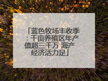 蓝色牧场丰收季：千亩养殖区年产值超三千万 海产经济活力足