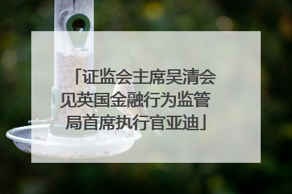 证监会主席吴清会见英国金融行为监管局首席执行官亚迪