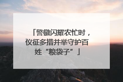 警徽闪耀农忙时，仪征多措并举守护百姓“粮袋子”