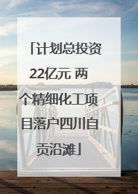 计划总投资22亿元 两个精细化工项目落户四川自贡沿滩