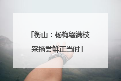衡山：杨梅缀满枝 采摘尝鲜正当时