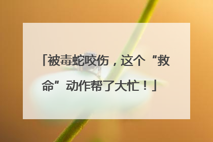 被毒蛇咬伤，这个“救命”动作帮了大忙！