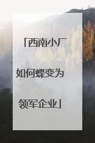 西南小厂如何蝶变为领军企业