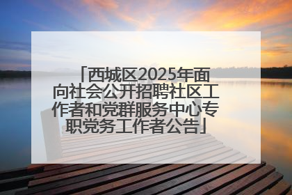 西城区2025年面向社会公开招聘社区工作者和党群服务中心专职党务工作者公告