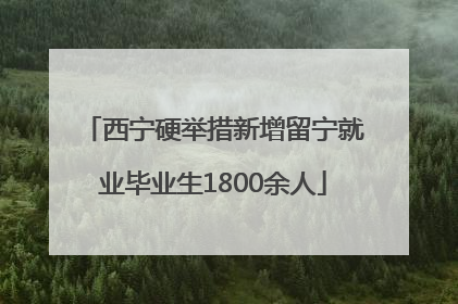 西宁硬举措新增留宁就业毕业生1800余人
