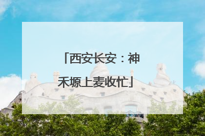 西安长安：神禾塬上麦收忙