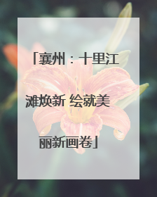 襄州：十里江滩焕新 绘就美丽新画卷