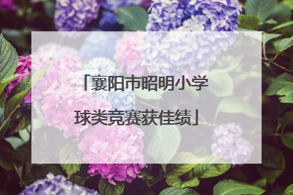 襄阳市昭明小学球类竞赛获佳绩