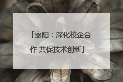 襄阳：深化校企合作 共促技术创新