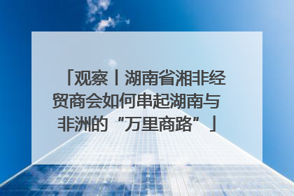 观察丨湖南省湘非经贸商会如何串起湖南与非洲的“万里商路”