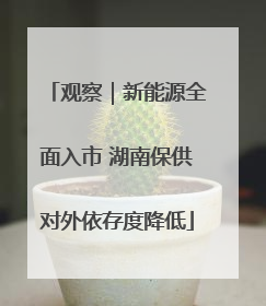 观察｜新能源全面入市 湖南保供对外依存度降低