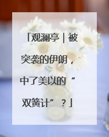 观澜亭｜被突袭的伊朗，中了美以的“双簧计”？