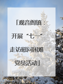 观音阁镇：开展“七一”走访慰问困难党员活动