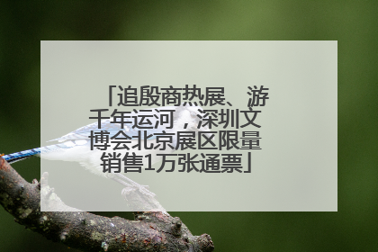 追殷商热展、游千年运河，深圳文博会北京展区限量销售1万张通票