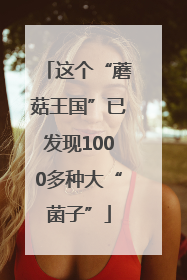 这个“蘑菇王国”已发现1000多种大“菌子”