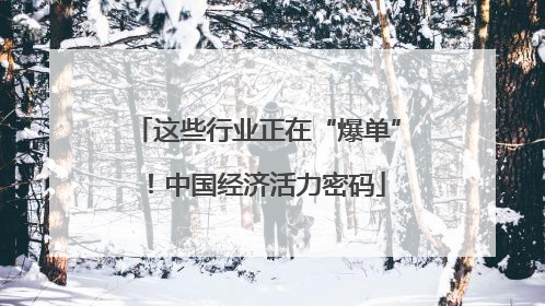 这些行业正在“爆单”！中国经济活力密码