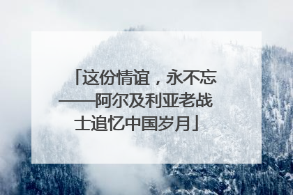 这份情谊，永不忘——阿尔及利亚老战士追忆中国岁月
