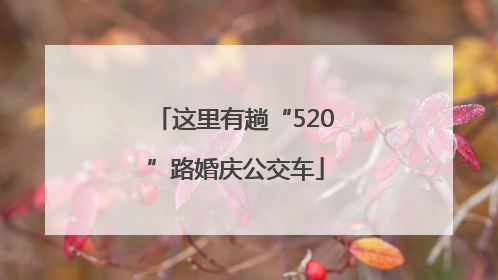 这里有趟“520”路婚庆公交车