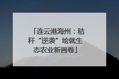 连云港海州：秸秆“逆袭”绘就生态农业新画卷