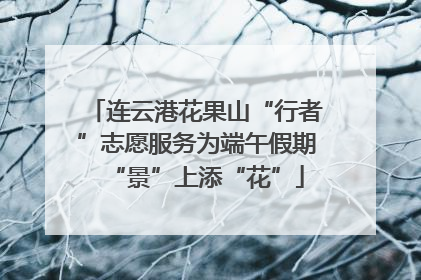 连云港花果山“行者”志愿服务为端午假期“景”上添“花”