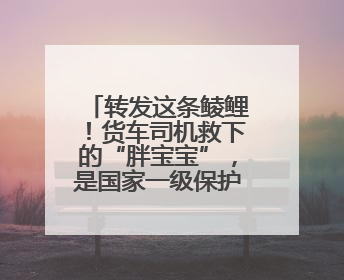 转发这条鲮鲤！货车司机救下的“胖宝宝”，是国家一级保护动物！