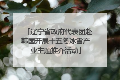 辽宁省政府代表团赴韩国开展十五冬冰雪产业主题推介活动