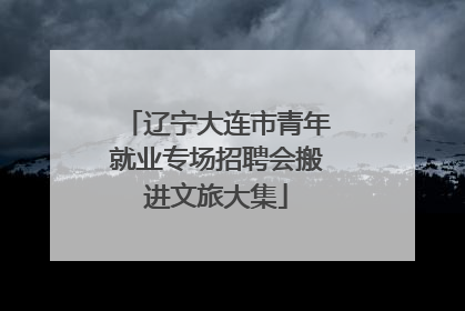 辽宁大连市青年就业专场招聘会搬进文旅大集