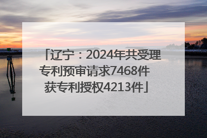 辽宁：2024年共受理专利预审请求7468件 获专利授权4213件