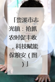 贵溪市志光镇：抢抓农时促丰收，科技赋能保粮安（图）