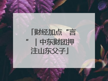 财经加点“言”｜中东财团押注山东父子