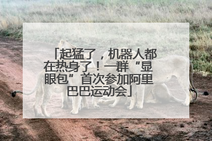起猛了，机器人都在热身了！一群“显眼包”首次参加阿里巴巴运动会