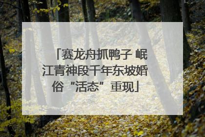 赛龙舟抓鸭子 岷江青神段千年东坡婚俗“活态”重现