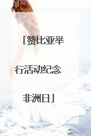 赞比亚举行活动纪念非洲日