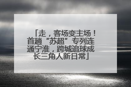 走，客场变主场！首趟“苏超”专列连通宁淮，跨城追球成长三角人新日常