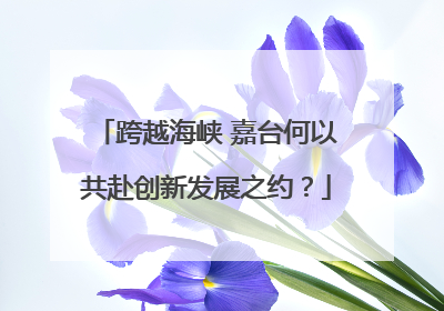 跨越海峡 嘉台何以共赴创新发展之约？